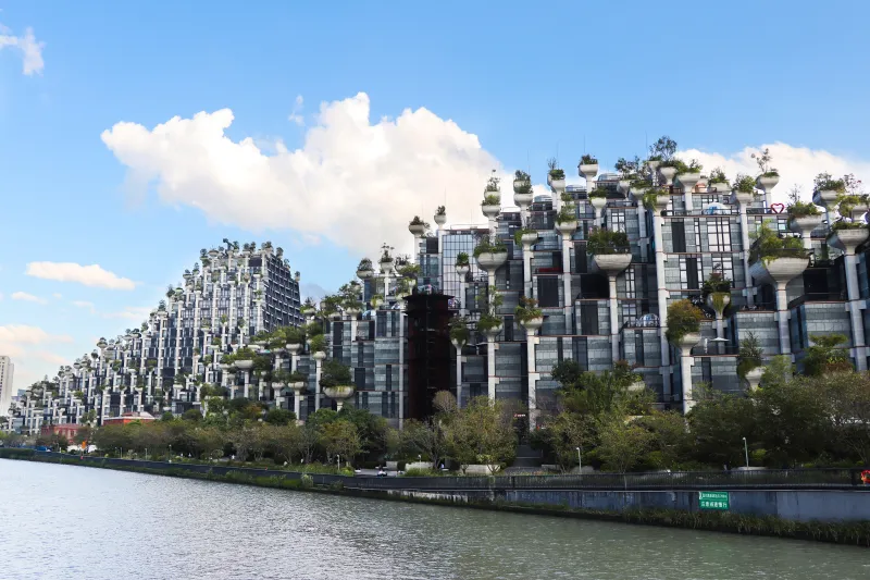 1000棵树